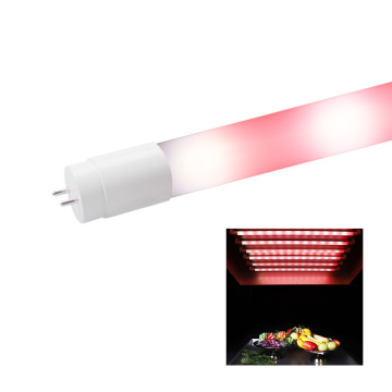 Red LED Tube for Vegetables with Color Box Packed